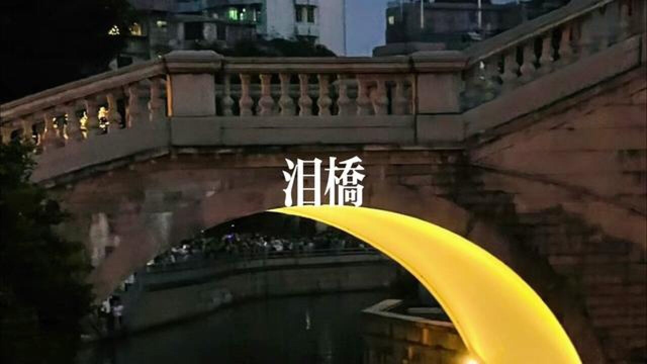 循环播放#翻唱 #泪桥