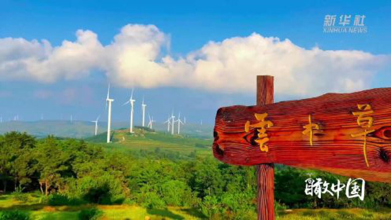 瞰中国|山东临朐:放飞云中草原 感受"诗与远方"