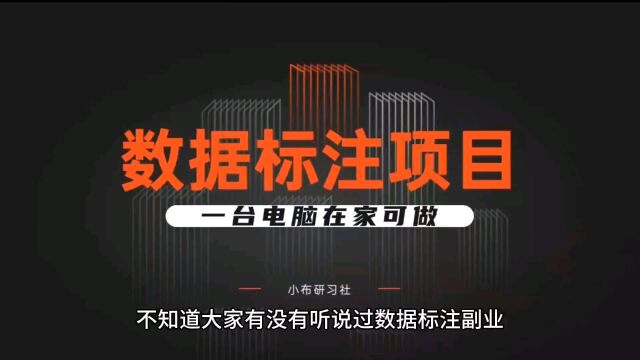 拉拉框就能赚钱?一台电脑可操作的数据标注怎么做?