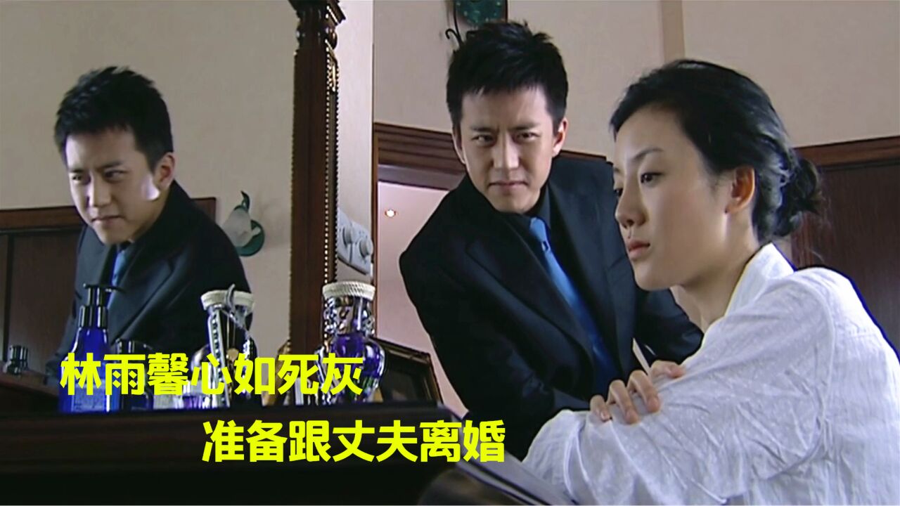 艰难爱情35:林雨馨心如死灰,准备跟富豪离婚,这下闹大了