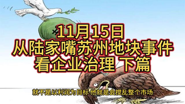 11月15日 从陆家嘴苏州地块事件看企业治理 下篇