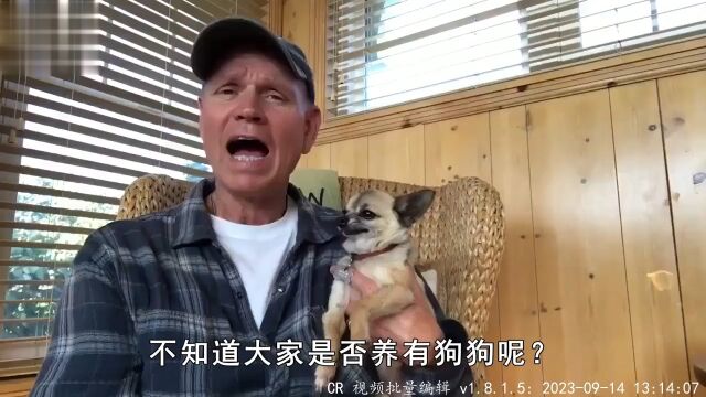 俗话说“死狗弃水流”,为什么狗狗死后不能埋?狗狗宠物知识科普生活 1