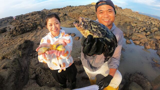 大熊带表妹盘半岛新坑,坑底鱼货乱跳连抓几十条,表妹抓的非常嗨