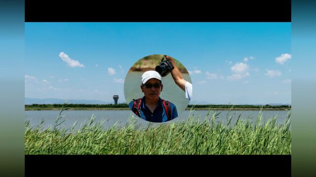 陕西渭南:蒲城县卤阳湖国家湿地公园等图集