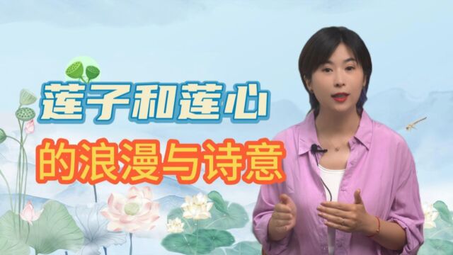 莲子和莲芯的浪漫与诗意