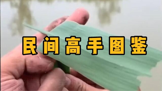 我和我的小伙伴都惊呆了!