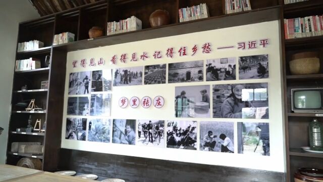 村集体收入从0到超100万!河南兰考县张庄村三产融合发展,实现华丽蝶变