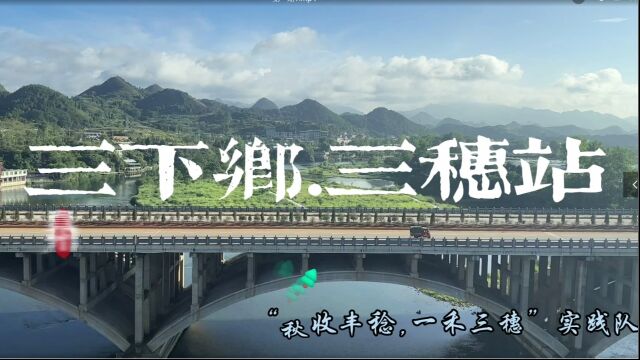 贵州大学农学院“秋收丰稔、一禾三穗”实践队暑期三下乡第一期