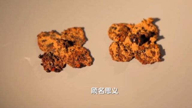 柿蒂花,是匈奴墓葬内棺椁的主要装饰物