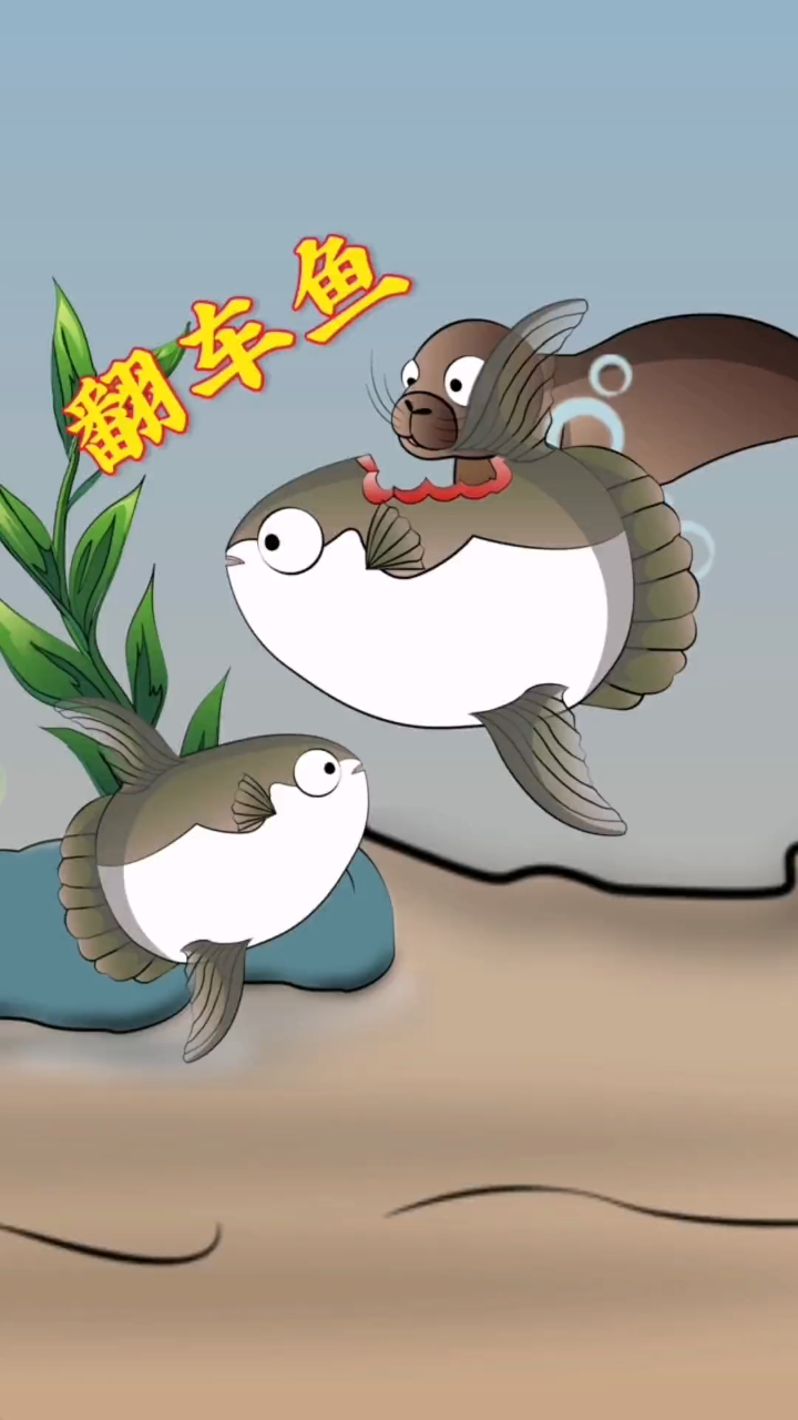 你知道吗?翻车鱼神经退化,被咬后也是感觉不到疼痛的!