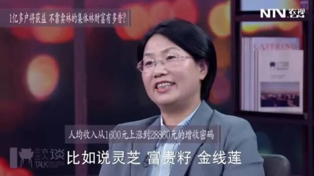 不靠卖林的集体林,究竟能为农民带来多大财富?