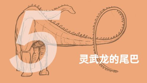 第117集学画灵武龙尾巴_第117集学画灵武龙尾巴_少儿_动画片大全_腾讯视频