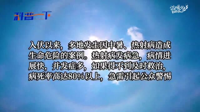 高温高湿需防热射病 专家支招讲解救治措施