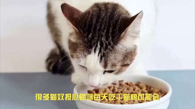 猫罐头哪个品牌比较好?推荐十大比较好的猫罐头品牌排行榜!