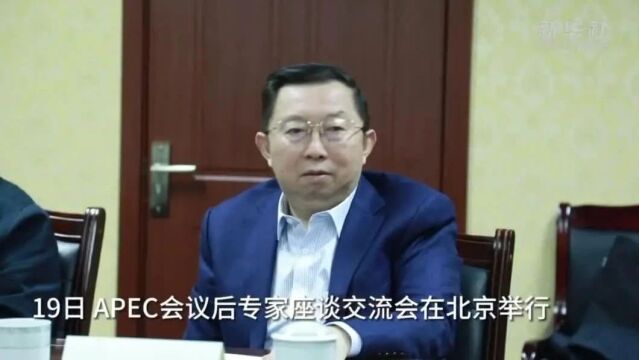 许宁宁:亚太区域经济合作共识关键在落实