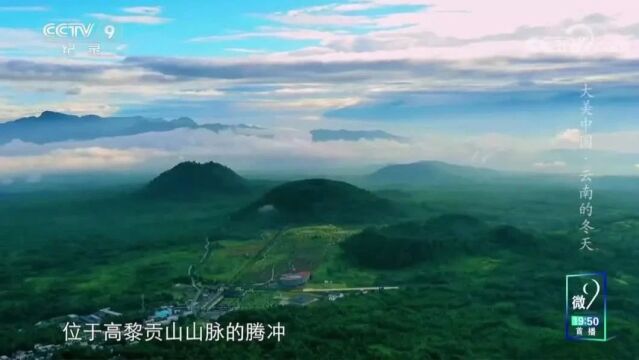 美丽中国|《大美中国.冬天系列》云南的冬天