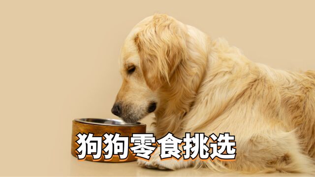 什么零食狗狗更爱吃呢?狗狗零食挑选