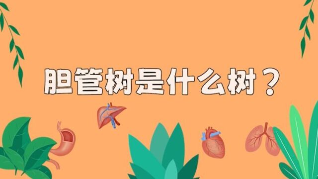 视频|关注胆道系统健康 呵护胆管“健康树”