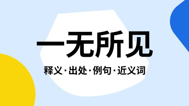 “一无所见”是什么意思?