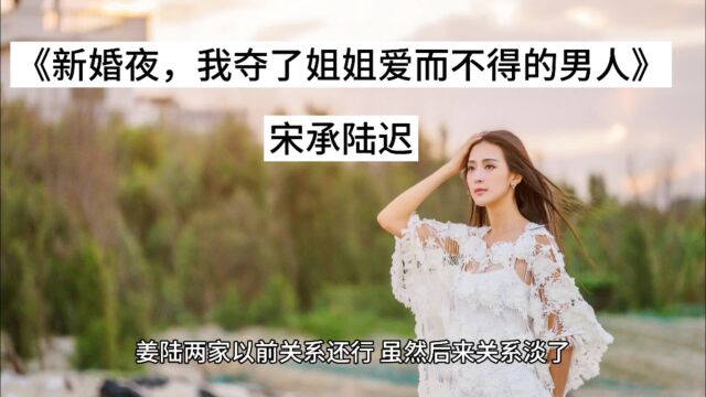 精彩言情《新婚夜,我夺了姐姐爱而不得的男人》宋承陆迟(&大结局)