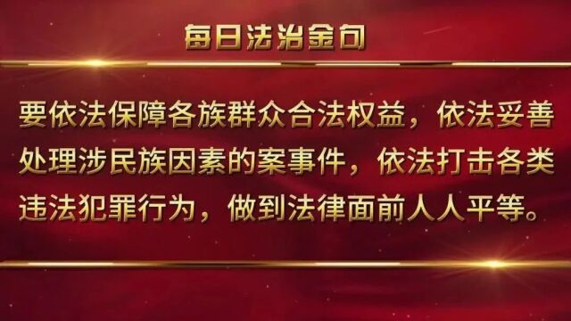 【每日法治金句】第93期