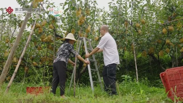 第六届金融业年度品牌案例大赛报送案例展“共富山海行 浙里好时节”助力乡村振兴品牌推广