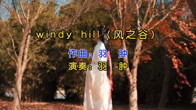 羽肿钢琴演奏《Windy Hill》,优美动听、跌宕起伏的旋律,满足了听众的耳朵,如沐清风,令人耳目