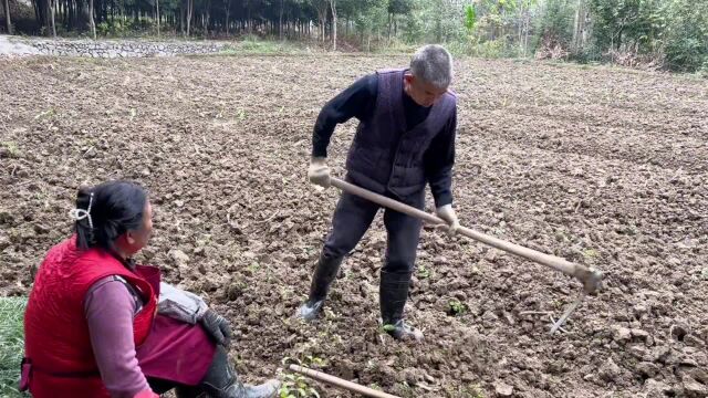 这是真实的故事农村搞笑段子,我的乡村生活,用抖音记录农村真实生活,搞笑视频