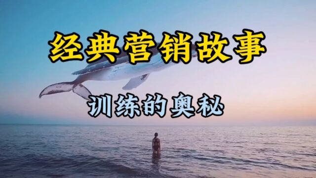 经典营销故事,训练的奥秘