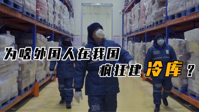 为何外国富豪在我国扎堆建冷库,年轻人为什么不愿去冷库工作了?