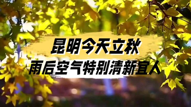 昆明今天立秋,雨后空气特别清新宜人