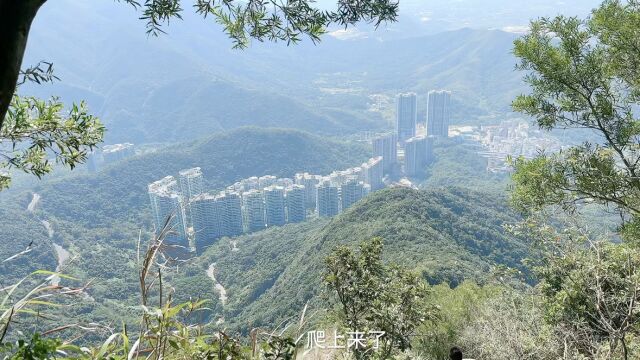 实拍深圳梧桐山最真实现状,赶快看看吧