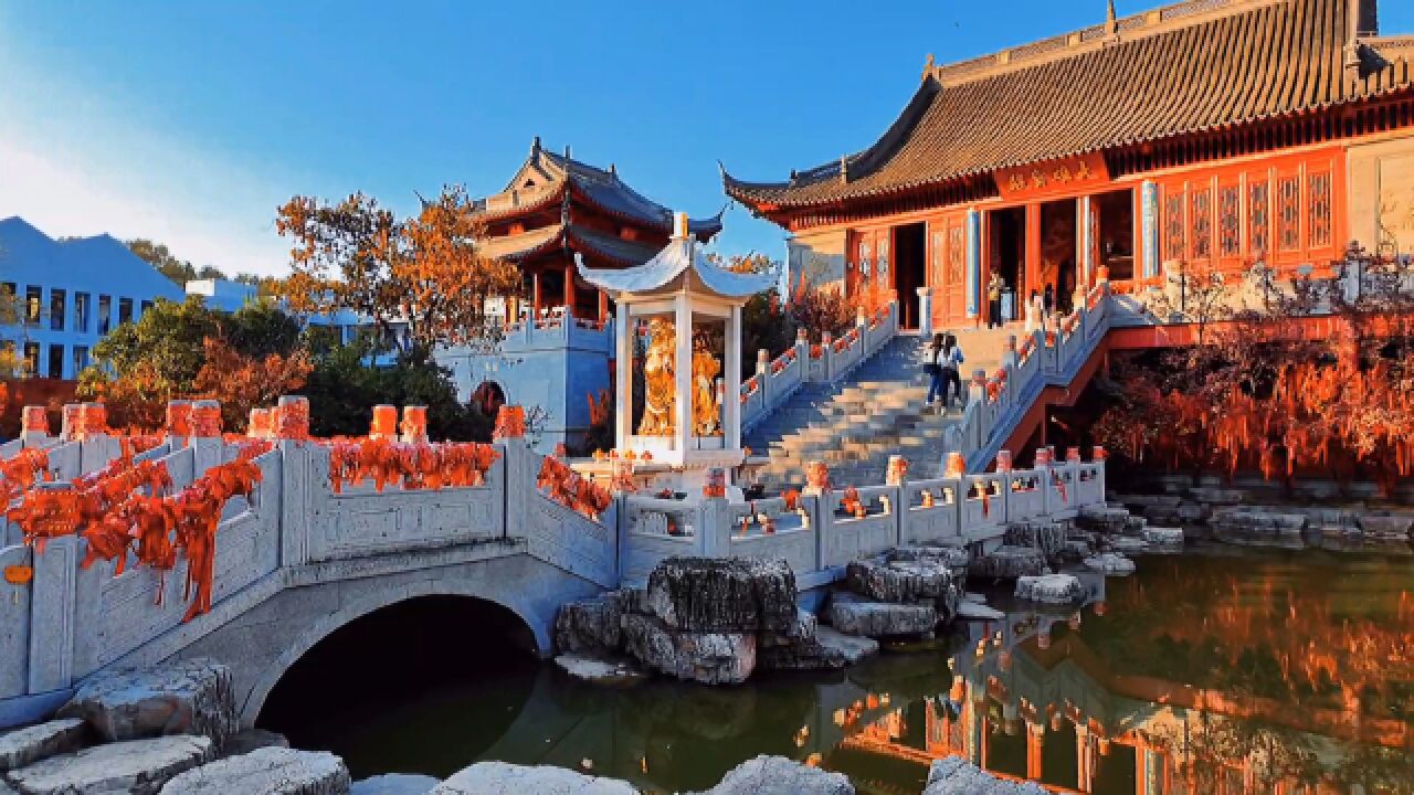 南京毗卢寺初冬禅意 古刹银杏情