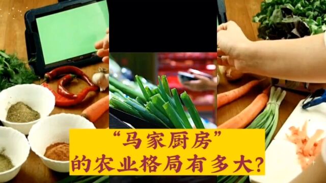 马家厨房主营“吃” 不做最大的菜场和“小商小贩”