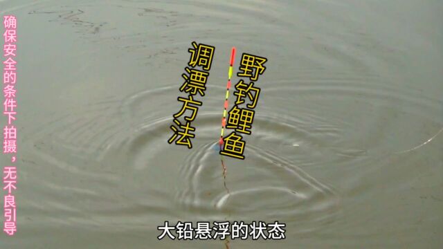 野钓鲤鱼,这两种调漂方式出口稳抓口准,可以挂玉米、麦粒和虫饵