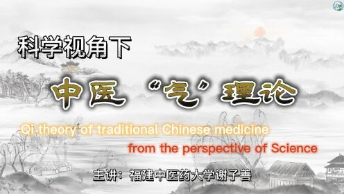 【中医英语】科学视角下的中医“气”理论(双语字幕)_高清1080P在线观看平台_腾讯视频