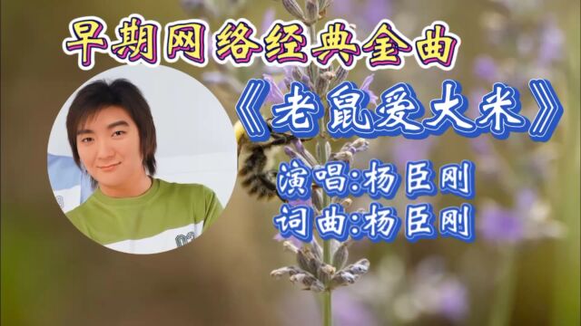 怀旧歌曲《老鼠爱大米》杨臣刚深情演唱,温暖柔情歌词,磁性歌声响起仿佛回到了学生时代!