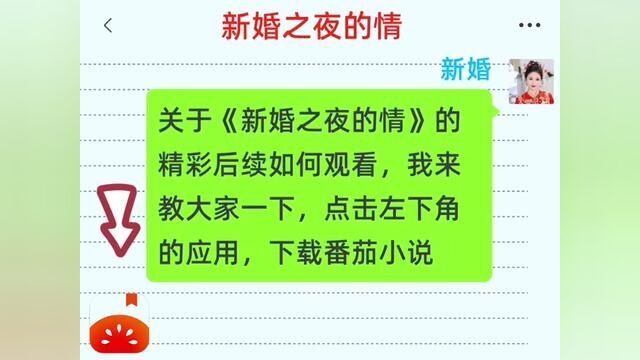 《新婚之夜的情》全集,点击左下方下载(番茄小说)精彩后续听不停#番茄小说 #小说