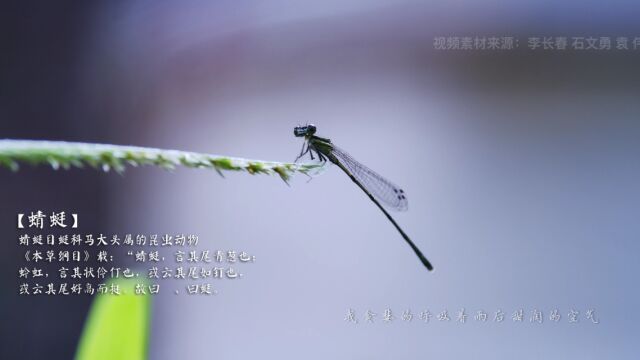 夏天的雨总是那么突然,却又那么恰好