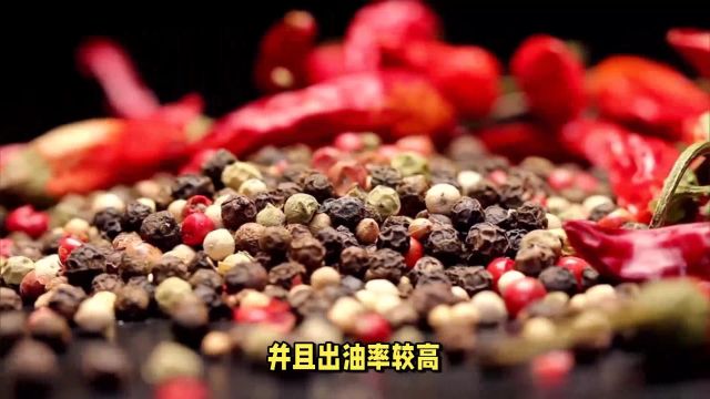 花椒和麻椒傻傻分不清楚?今天才知区别,炒菜时别再放错了