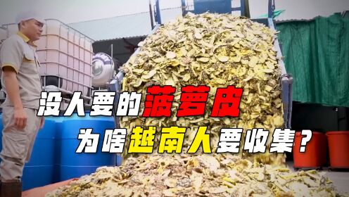 没人要的“菠萝皮”，越南人却高价回收，这有什么用？