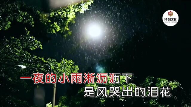 月里嫦娥(曾月香)  慢慢走远的爸妈『帅鑫唱片KTV推荐』