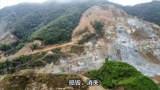 河南鲁山县一矿山生态修复后再遭破坏,企业曾多次被处罚