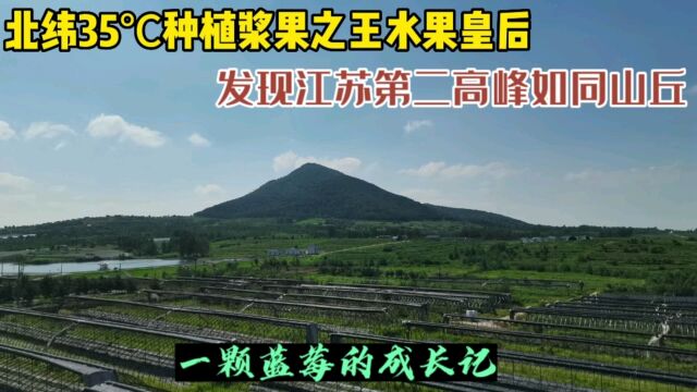 北纬35℃种植浆果之王水果皇后,这里地理位置独特,站这能一山看两省