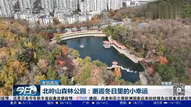 市民打卡休闲的绝佳去处!北岭山森林公园:邂逅冬日里的小幸运