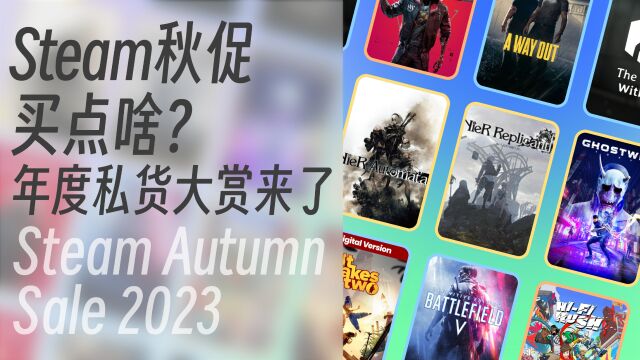 Steam秋促买点啥?年度私货大赏来了