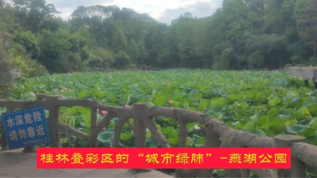 桂林叠彩区的“城市绿肺”燕湖公园