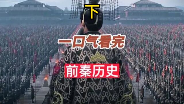 一口气看完前秦43年历史,淝水一战让历史倒退200年 #历史 #前秦天王苻坚 #淝水之战 下