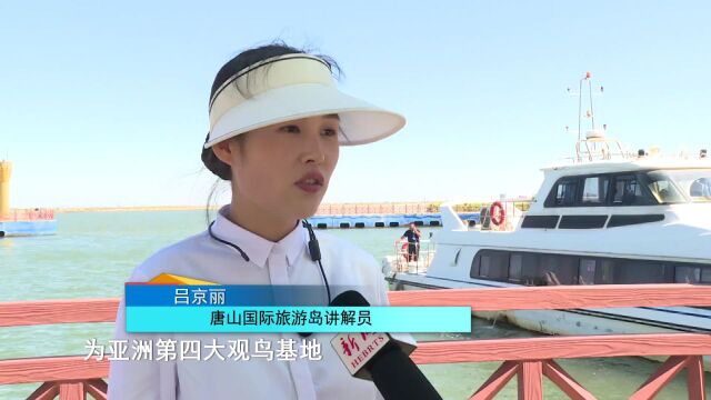 唐山国际旅游岛:醉美菩提岛 静心之地 生态绿岛