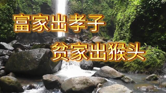 “富家出孝子,贫家出猴头”,古人的话有道理吗?